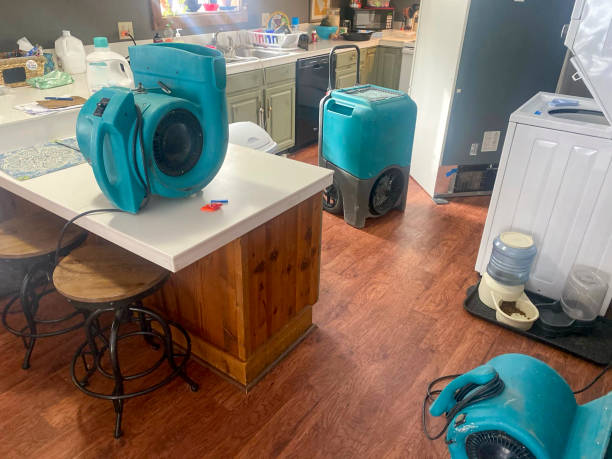 Best Carpet water damage restoration  in Hearne, TX