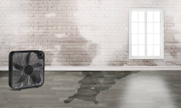 Best 24/7 water damage repair  in Hearne, TX